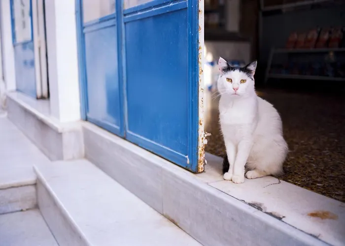 Depis Place And Naxos Depis Castle Renata Luxury Apartments-double Appartement